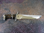 Scorpion Bowie